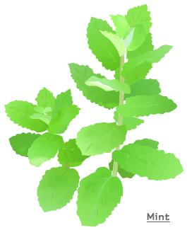 ミント大.png