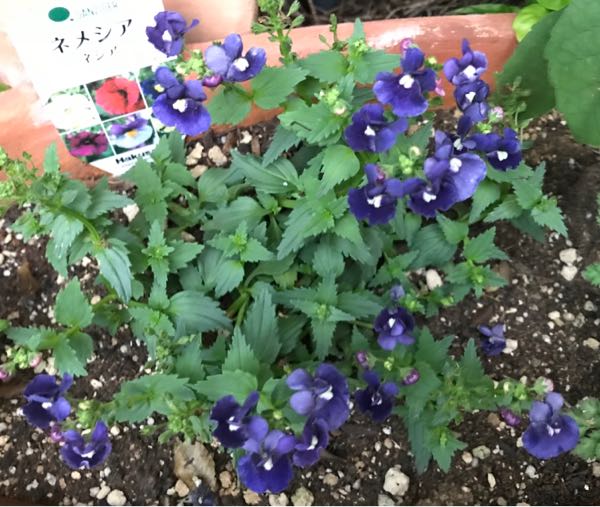 rblog-20181108170137-00.jpg