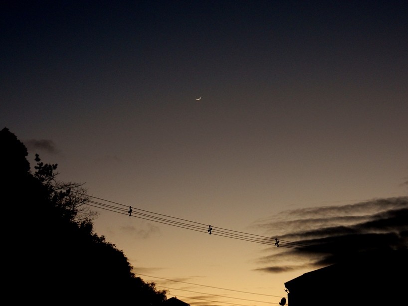 夕暮れ
