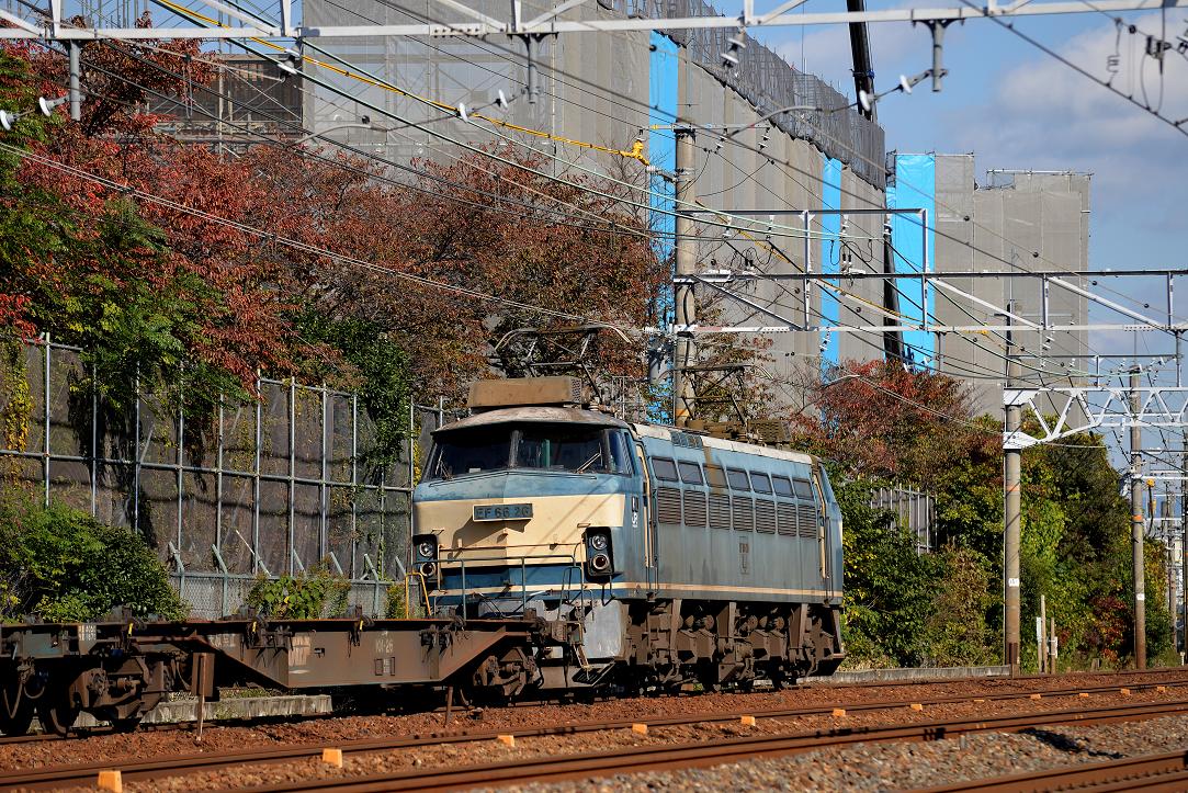 DSC_6770.JPG