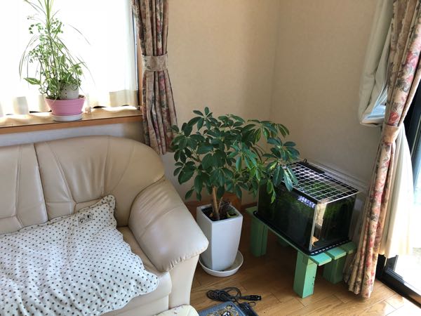 rblog-20180804111312-02.jpg
