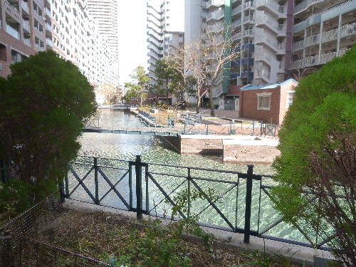 P1080749(1).JPG