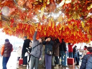 P1010873ryuukazi6.JPG