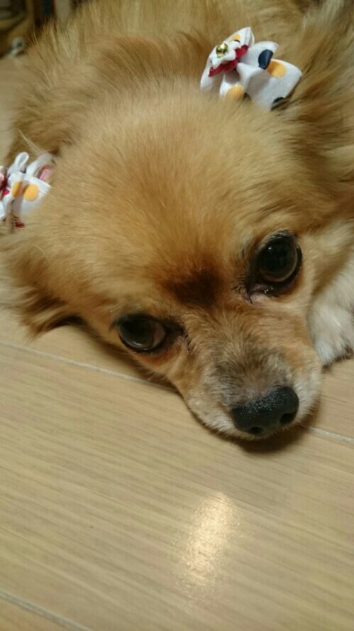 rblog-20171220200545-00.jpg