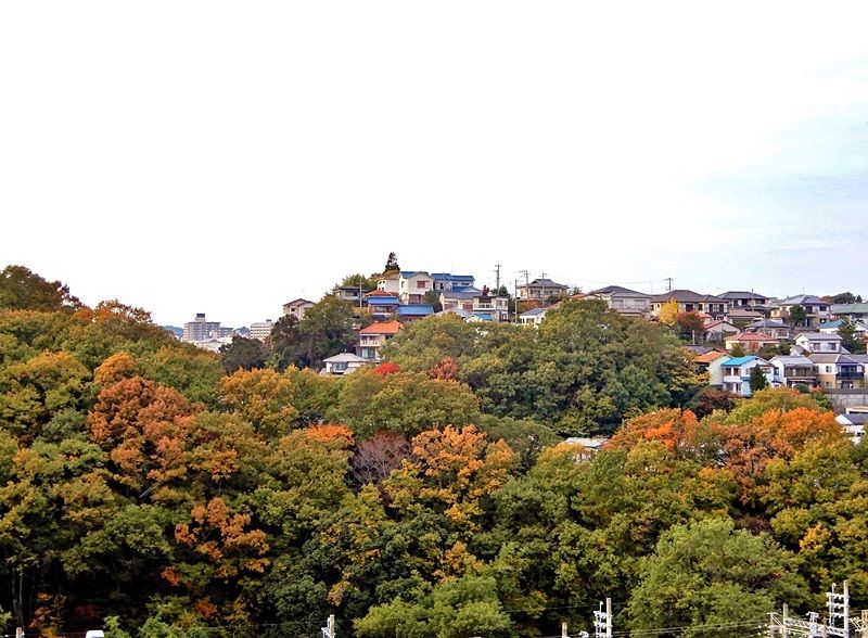 山の紅葉2
