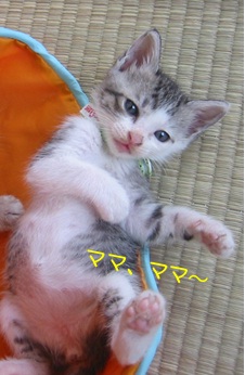20120706_3.jpg
