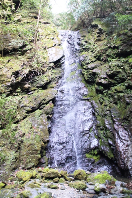 GX0A3438.JPG