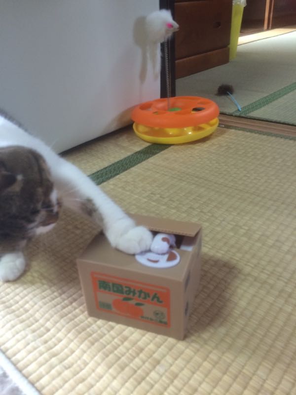 rblog-20151011185115-01.jpg
