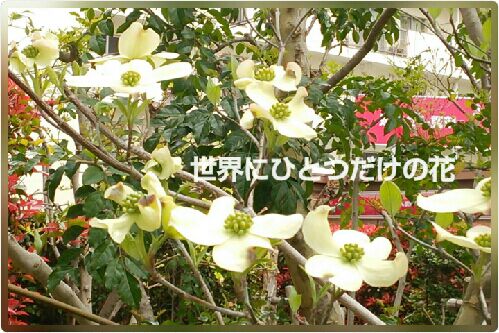 rblog-20160423143608-00.jpg