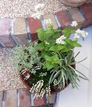 rblog-20140716134457-01.jpg
