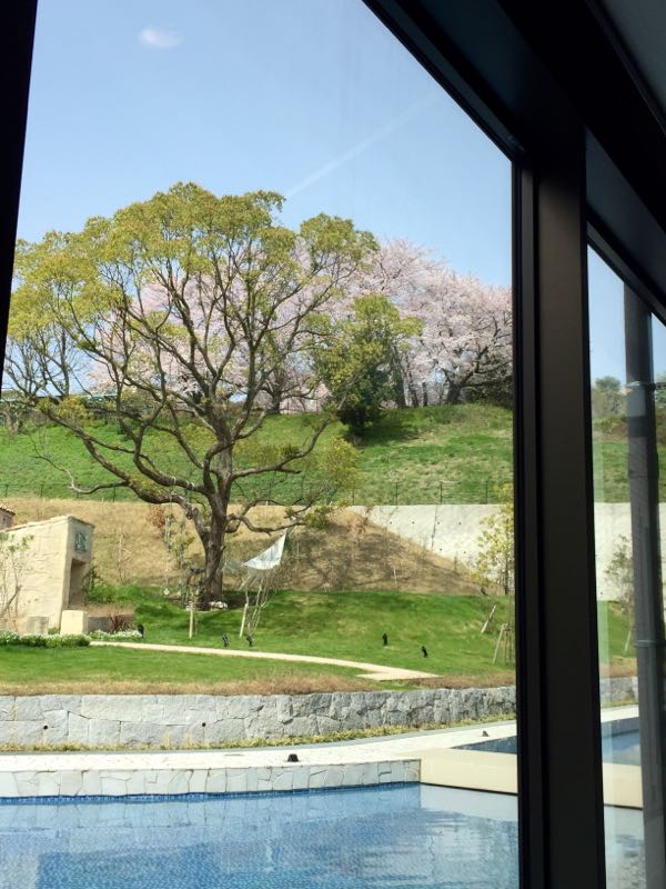 rblog-20160402154037-09.jpg