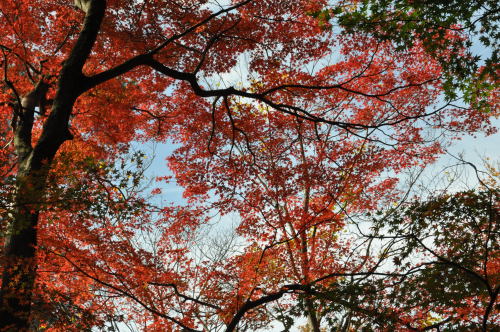 寺家公園