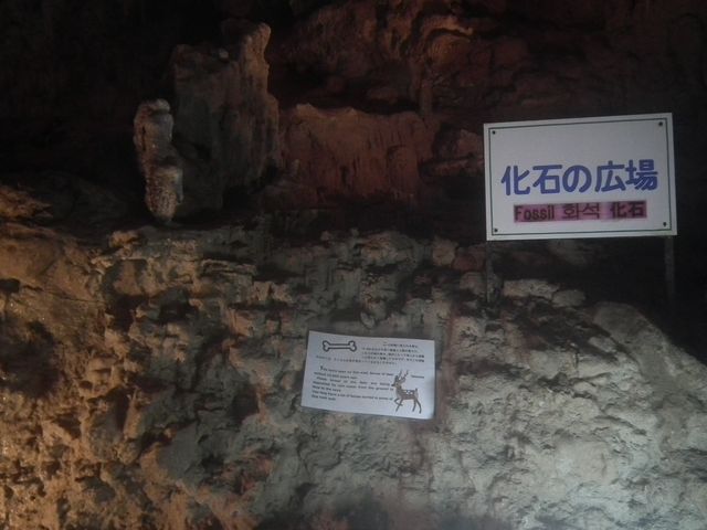 DSCF9029.JPG