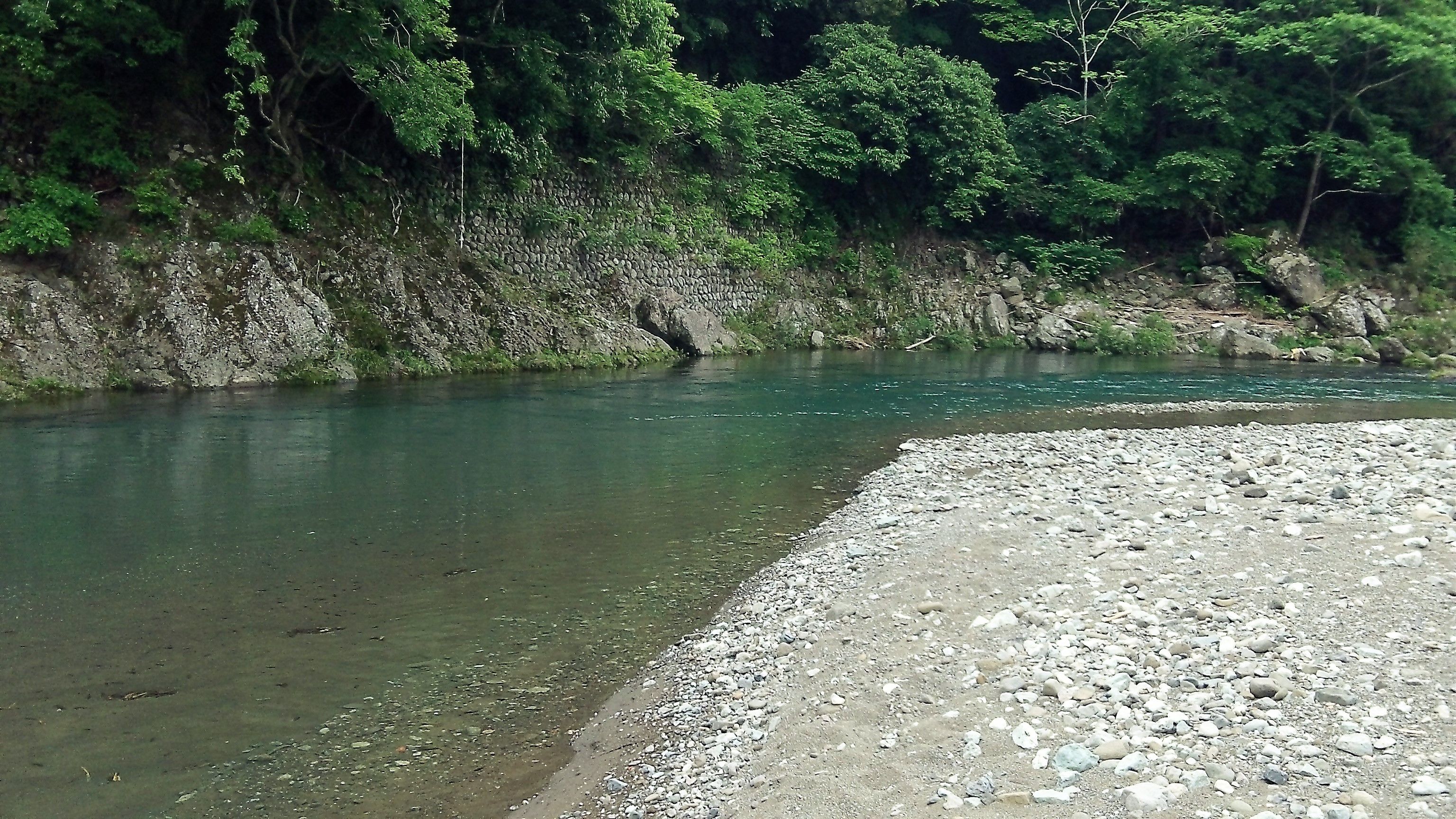 興津川18 川見情報 生涯ドブ釣り 楽天ブログ