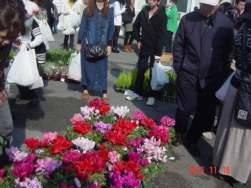 DSC01273.JPG