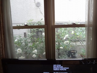 DSC01213.jpg