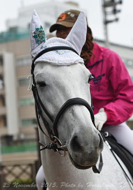 20151123_1420NikeStargazer_03