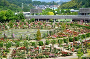 フォーマルガーデン全景３.jpg