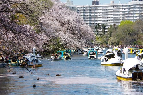 井の頭恩賜公園にて