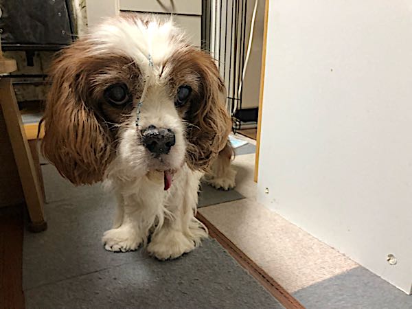rblog-20180205094314-01.jpg