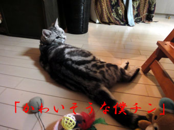 mumu6.jpg