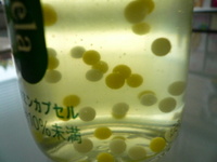 P1020939
