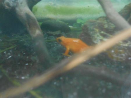 越前松島水族館