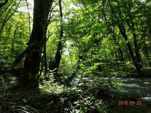 rblog-20180924013358-04.jpg