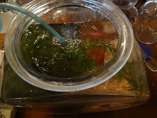 DSC01538.jpg