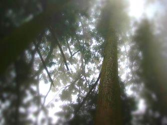 Okutama