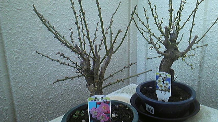2013-12-22 16:33:23
