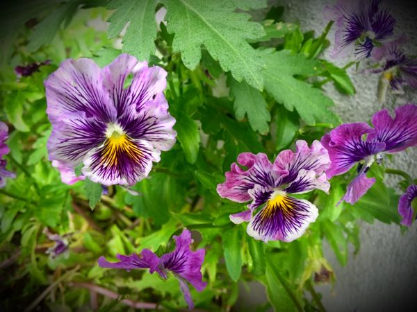 rblog-20160530192740-06.jpg