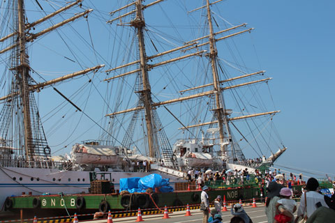 7414.jpg