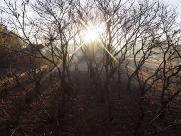 rblog-20151222180530-01.jpg