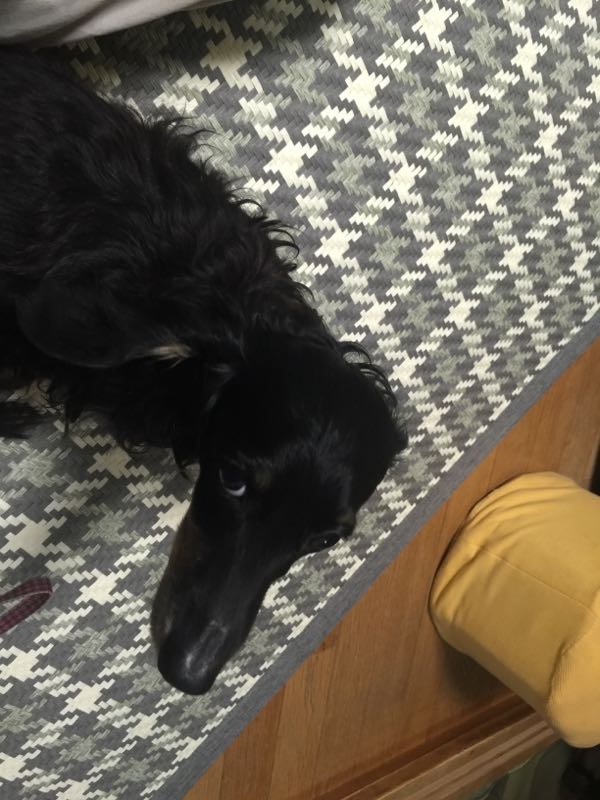 rblog-20161003061932-06.jpg