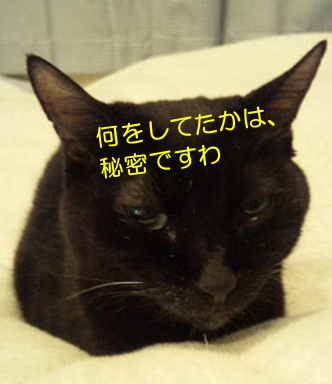 20120817_4.jpg
