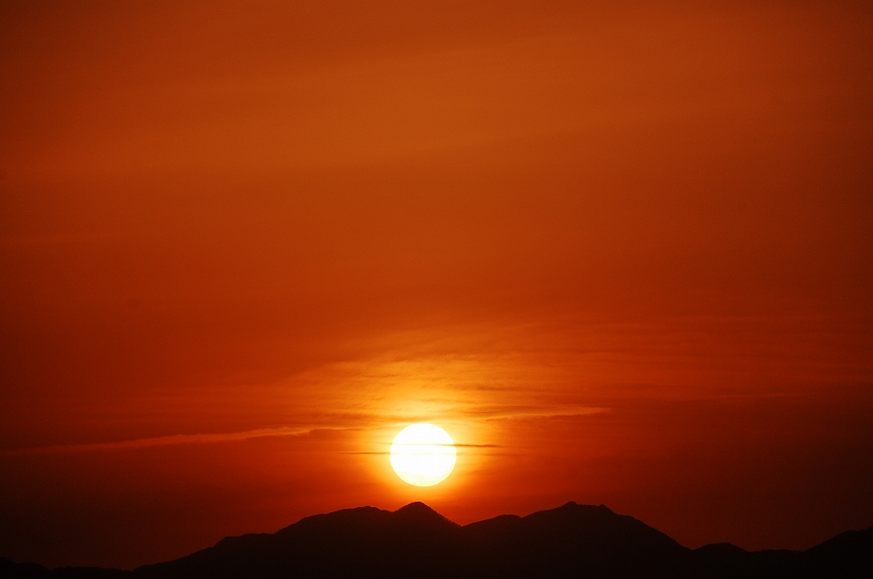 D40 218.jpg