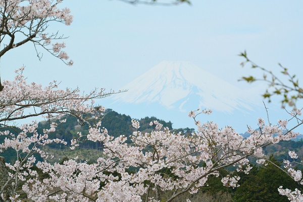 富士山