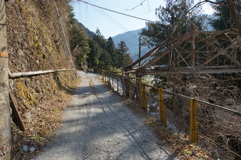 DSC09747.JPG