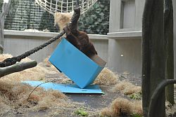 zoo