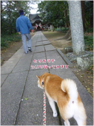 0102初詣1.jpg