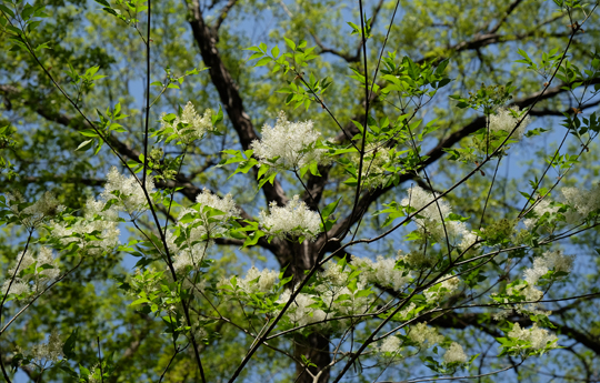2016 04 15_3182.jpg