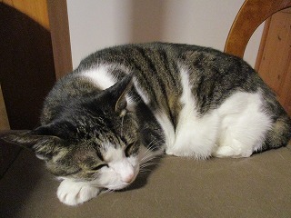 IMG_6126ss.jpg