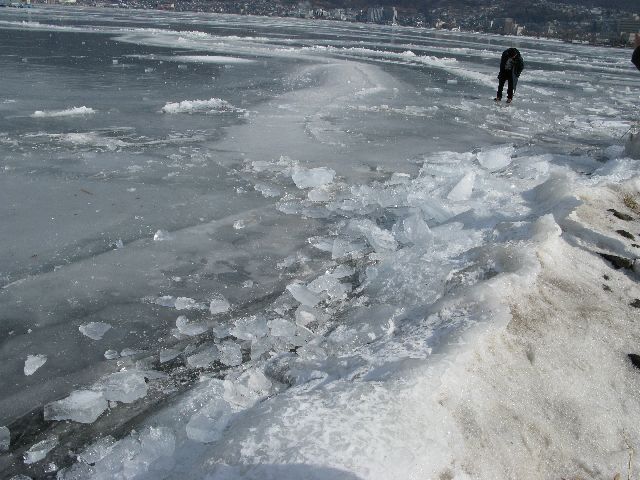 IMG_3542.JPG