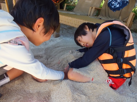 海