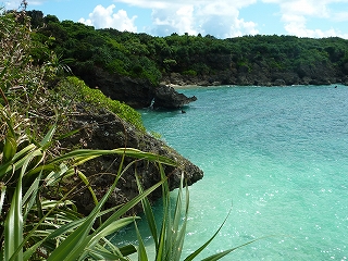 s-P1020734.jpg