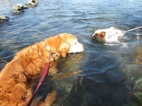2012-0826-25.jpg
