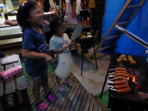 P1000910 (500x375).jpg