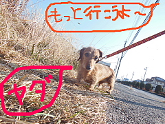 conv0308.JPG