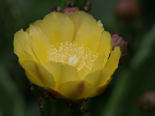 P7240043.jpg